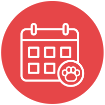 icon-events